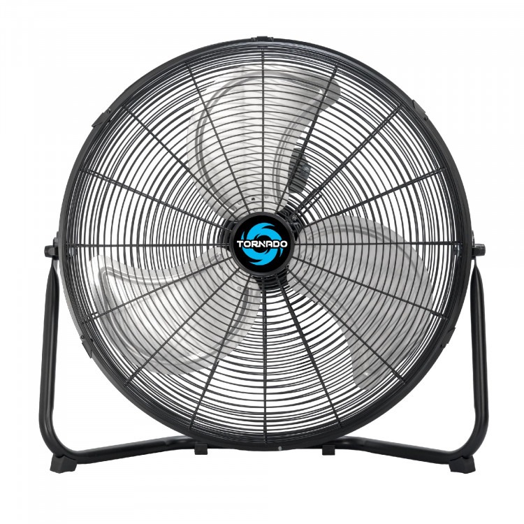 20 fan