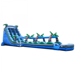 tropical Dual lane waterslide